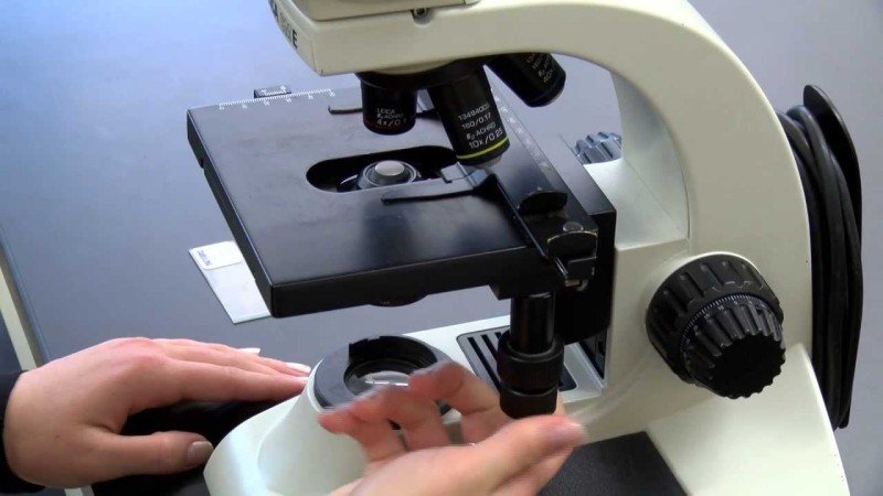 Microscope Manufacturers in India